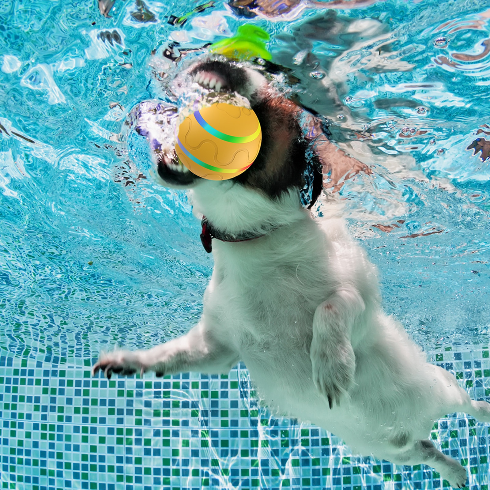 Dog Cat Toys Ball Electric Pet Toys Automatic Rotating Jumping Ball Playing Rolling Ball Roller Ball LED Rolling USB Flash Ball | Fugo Best