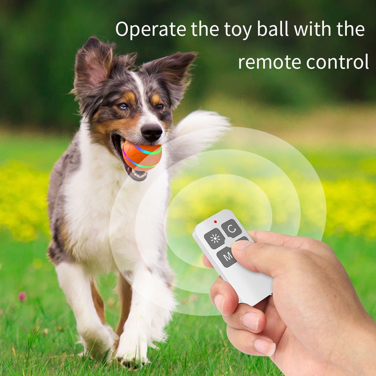 Dog Cat Toys Ball Electric Pet Toys Automatic Rotating Jumping Ball Playing Rolling Ball Roller Ball LED Rolling USB Flash Ball | Fugo Best