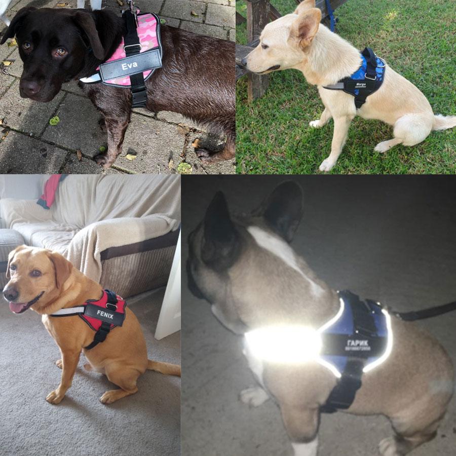 Dog Harness NO PULL Reflective Breathable Adjustable Pet Harness For Dog Vest ID Custom Patch Outdoor Walking Dog Supplies | Fugo Best