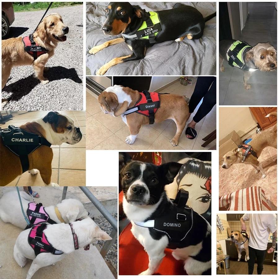 Dog Harness NO PULL Reflective Breathable Adjustable Pet Harness For Dog Vest ID Custom Patch Outdoor Walking Dog Supplies | Fugo Best
