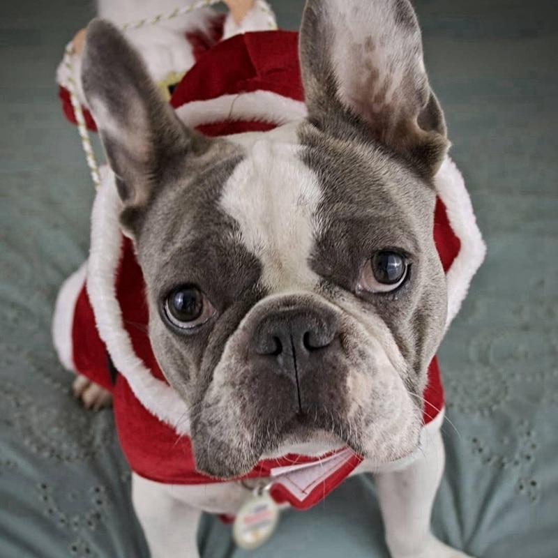 Fun Pet Dog Christmas clothes Santa Claus riding a deer Jacket Coat Pets Christmas Dog Apparel Costumes for Big Dog Small Dog | Fugo Best