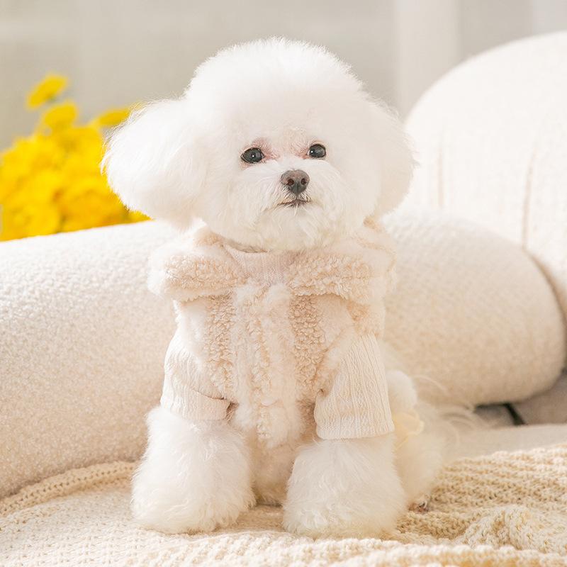 Autumn Winter Pet Princess Skirt Cute Suit Puppy Dress Small Dog Clothes Bowknot Hairpin Chihuahua Yorkshire Poodle Cat Coat | Fugo Best