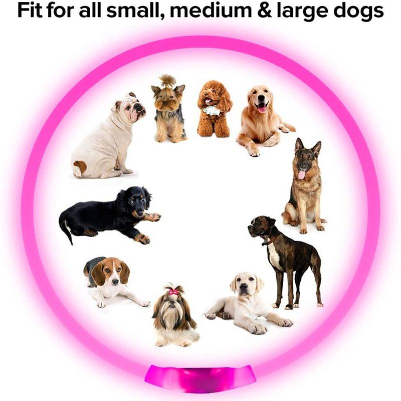 Led Dog Collar Luminous Usb Cat Dog Collar 3 Modes Led Light Glowing Loss Prevention LED Collar For Dogs Pet Dog Accessories | Fugo Best