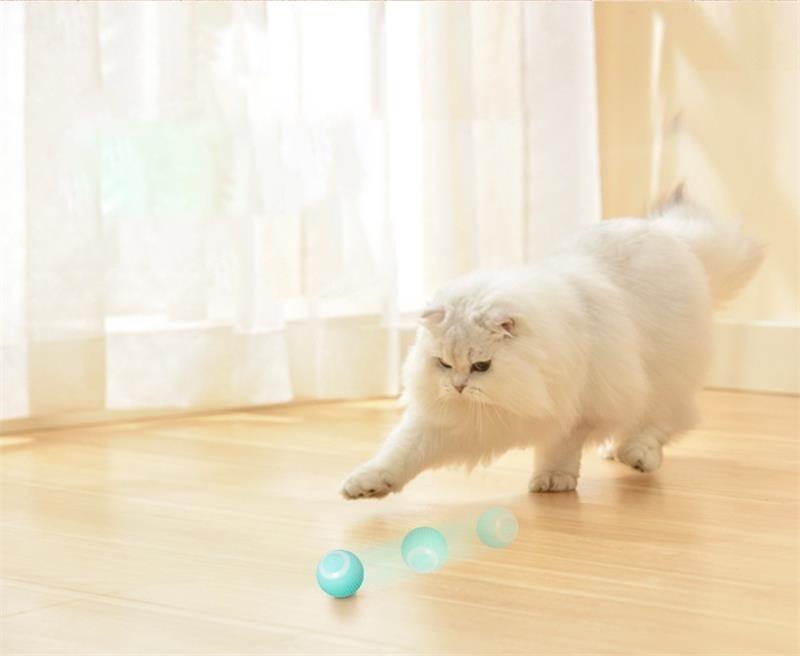 Electric Dog Toys Smart Puppy Ball Toys For Cat Small Dogs Funny Auto Rolling Ball Self-moving Puppy Games Toys Pet Accessories | Fugo Best