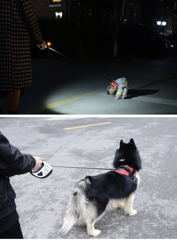 Pet Dog Automatic Retractable Fiber Leash LED Shining Automatic Stretching Dog Hand Holding Rope Pet Supplies | Fugo Best