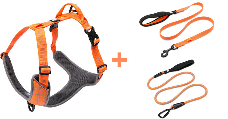 Truelove Padded Reflective Dog Pet Harness Small Large Soft Walk Adjustable With Handle For Seat Belt Pet Supplies Dropshipping | Fugo Best