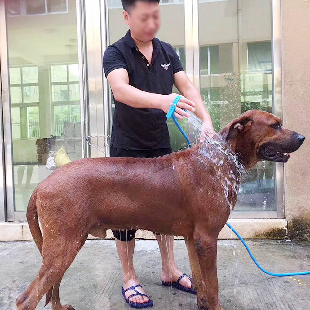 Soft Pet Dog Bath Shower for Dogs Pet Supplies Brush Glove Massager Washing Tool Sprayers Dog Shower Scrubber Sprayer chuveiros | Fugo Best
