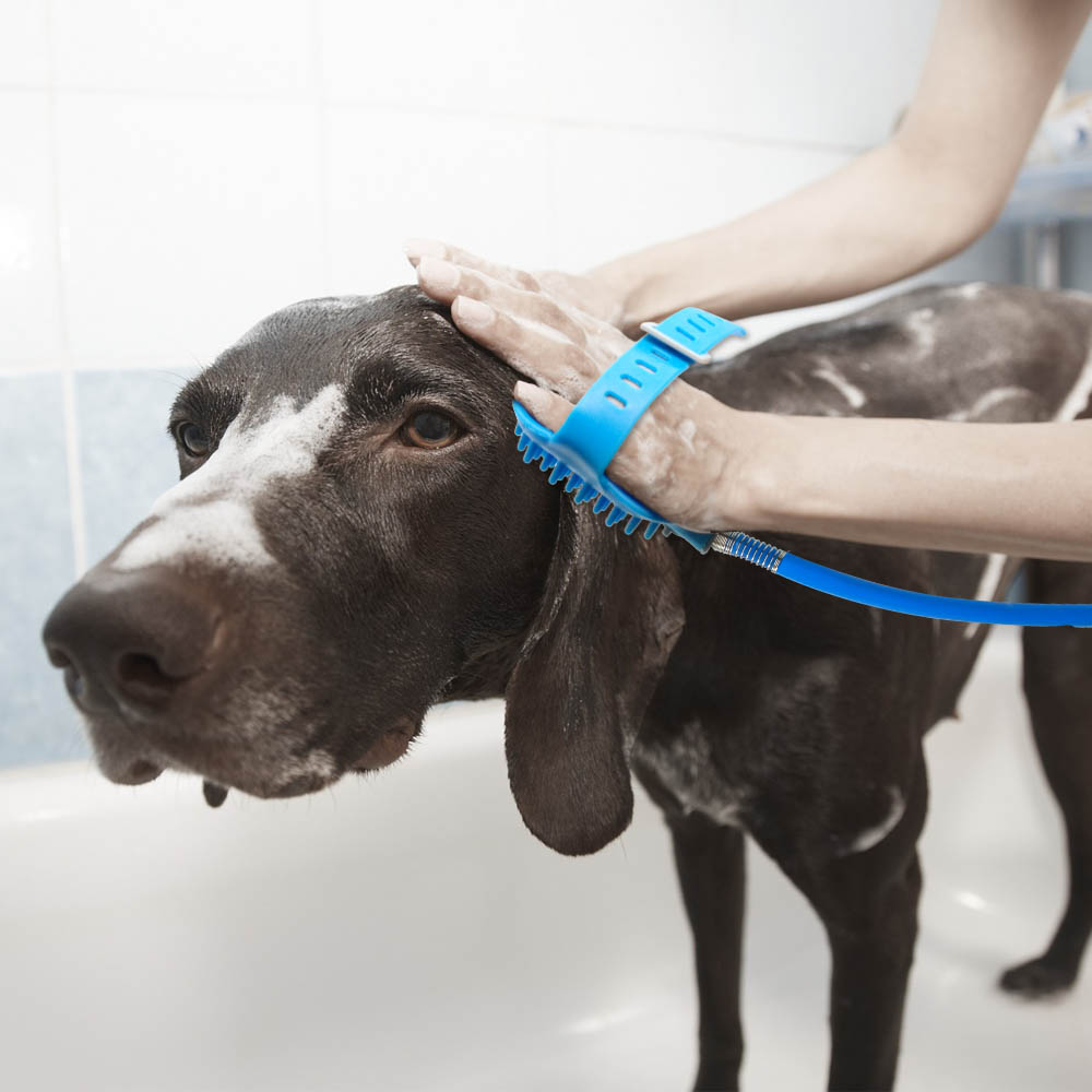 Soft Pet Dog Bath Shower for Dogs Pet Supplies Brush Glove Massager Washing Tool Sprayers Dog Shower Scrubber Sprayer chuveiros | Fugo Best