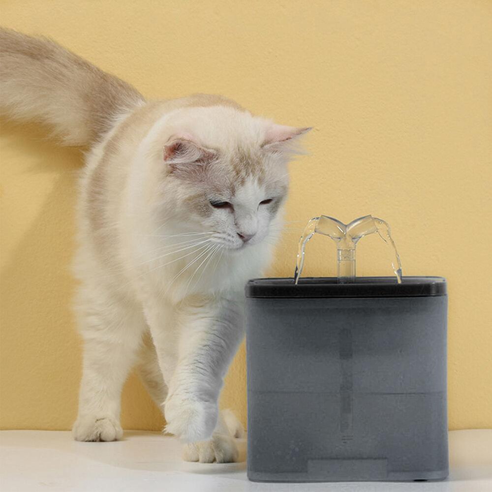 2L Automatic Pet Cat Water Fountain Filter Dispenser Feeder Smart Drinker Super Quiet Drinker Auto Feeder Drinking Supplies | Fugo Best