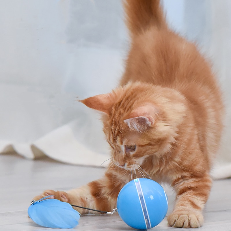 Funny Colorful Electric LED Cat Toy Self Rotating Rolling Flash Ball Rechargeable Cat Kitten Ball Dog Playing Pet Products | Fugo Best