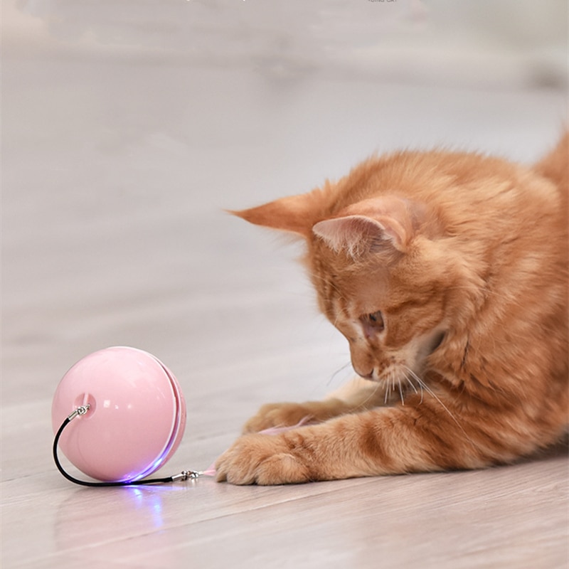 Funny Colorful Electric LED Cat Toy Self Rotating Rolling Flash Ball Rechargeable Cat Kitten Ball Dog Playing Pet Products | Fugo Best