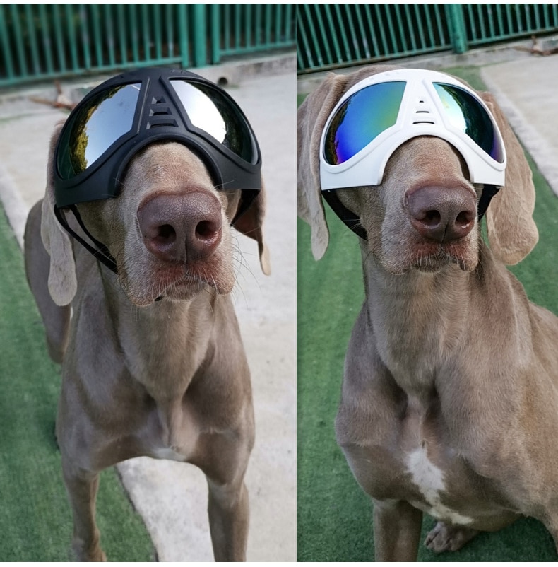 Dog Glasses - Medium and Large Dog Pet Sunglasses Windproof and Snowproof Pet Glasses for Outdoor Driving and Riding Pet Goggles | Fugo Best