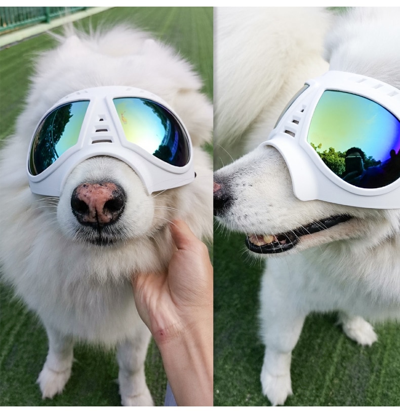 Dog Glasses - Medium and Large Dog Pet Sunglasses Windproof and Snowproof Pet Glasses for Outdoor Driving and Riding Pet Goggles | Fugo Best