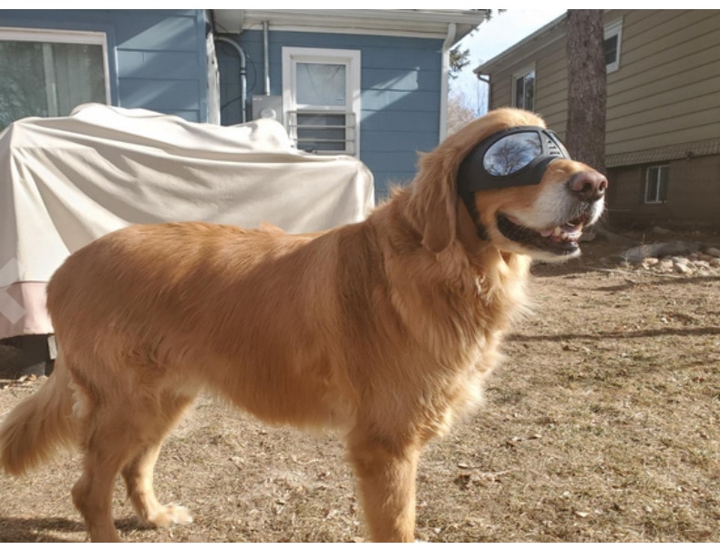 Dog Glasses - Medium and Large Dog Pet Sunglasses Windproof and Snowproof Pet Glasses for Outdoor Driving and Riding Pet Goggles | Fugo Best