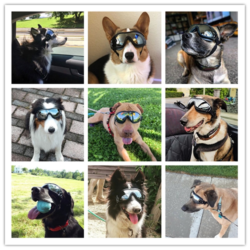 Adjustable Dog Sunglasses Dog Goggles, UV Protection Wind Protection Dust Protection Fog Pet Glasses Eye Wear Protection | Fugo Best