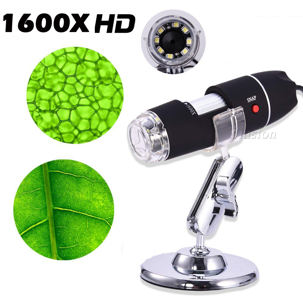 40X-1000X Magnifier 8 LED Microscope Digital Mini Camera Handheld USB Video Endoscope Micro Cam School Numerique Electronique | Fugo Best