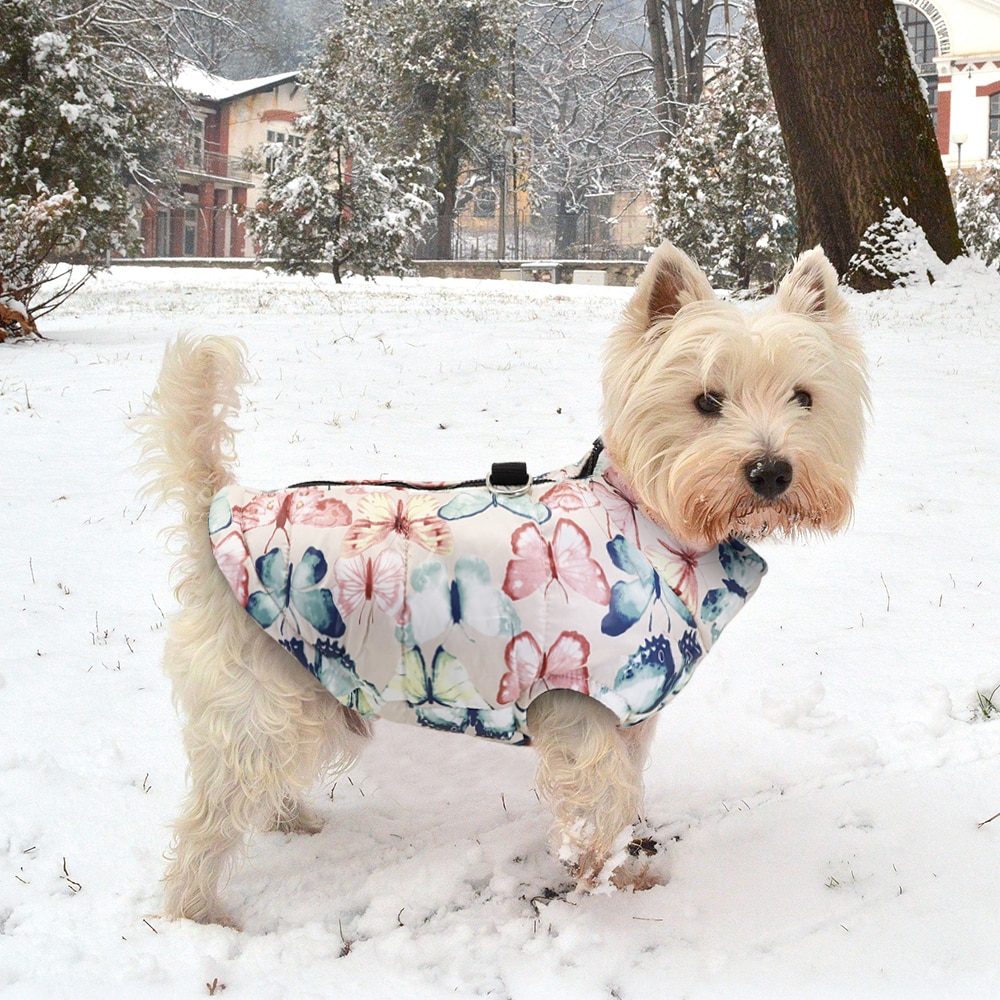 Winter Pet Dog Clothes French Bulldog Pet Warm Jacket Coat Waterproof Dog Clothing Outfit Vest For Small Medium Large Dogs | Fugo Best