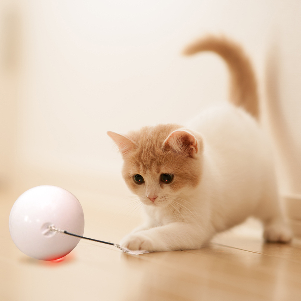 Automatic Smart Cat Toys Ball Interactive Catnip USB Rechargeable Self Rotating Colorful LED Feather Bells Toys for Cats Kitten | Fugo Best