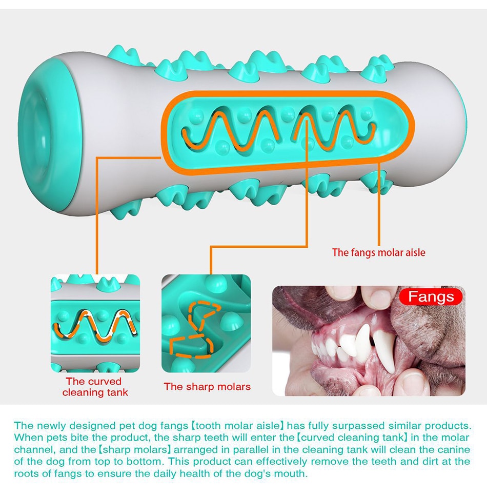 Dog Molar Toothbrush Toys Chew Cleaning Teeth Safe Elasticity Soft TPR Puppy Dental Care Extra-tough Pet Cleaning Toy Supplies | Fugo Best