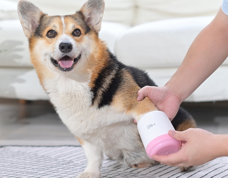 Pet Paw Cleaning Cup Soft Silicone Combs Portable Pet Foot Washer Cup Paw Clean Brush Quickly Wash Dirty Cat Dog Foot Cleaner | Fugo Best