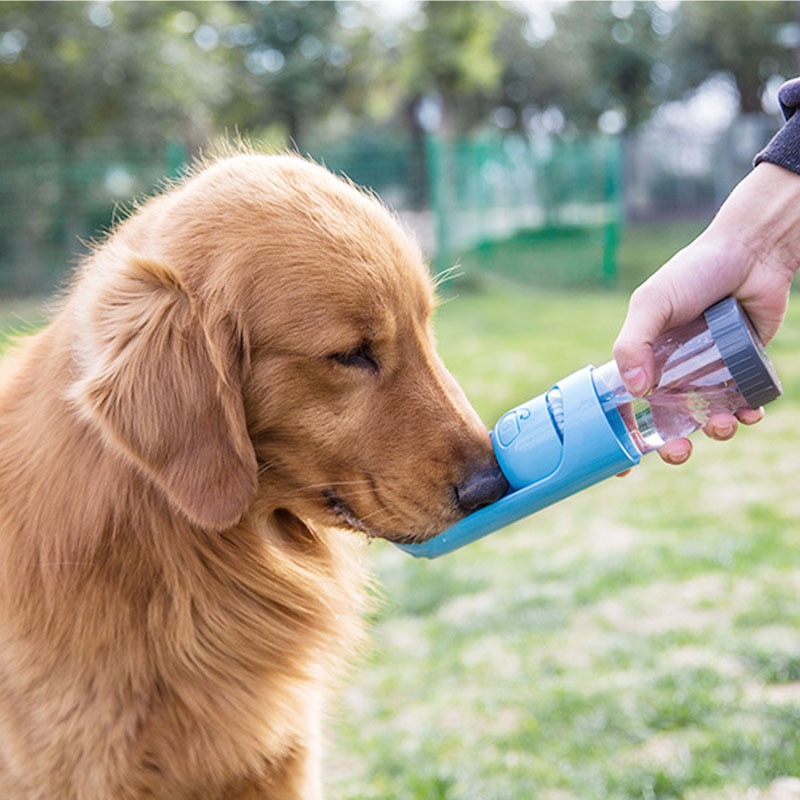 1PC Portable Pet Dog Water Bottle Feeder for Small Large Dogs Pet Product Travel Puppy Drinking Bowl Outdoor Pet Water Dispenser | Fugo Best