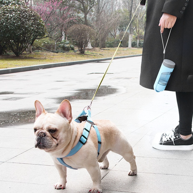 1PC Portable Pet Dog Water Bottle Feeder for Small Large Dogs Pet Product Travel Puppy Drinking Bowl Outdoor Pet Water Dispenser | Fugo Best