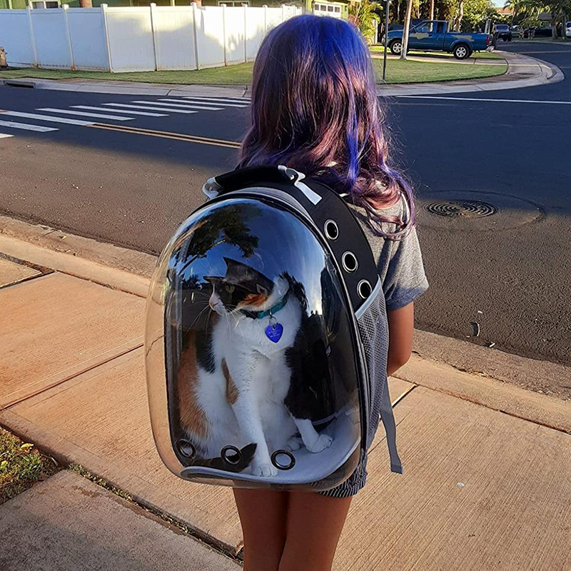 cat bag Cat Carrier Bag Outdoor Pet Shoulder bag Carriers Backpack Breathable Portable Travel Transparent Bag For Small Dogs Cat | Fugo Best