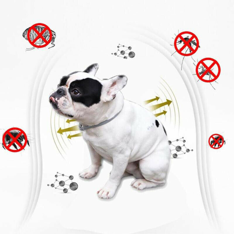 Electric Pet Flea Lice Cleaning Brush Grooming Tools Dog Cat Flea Cleaning Brush Pet Supplies | Fugo Best