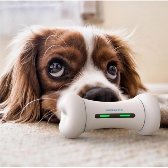 New WICKEDBONE Smart Pet Phone Controlled Electric Pet Toy Wickedbone Smart & Interactive Emotions Dog Toy | Fugo Best